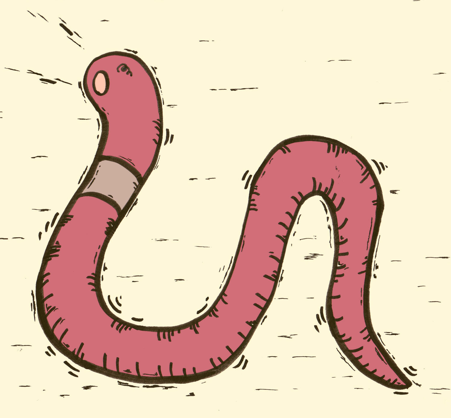 タコちゅっちゅ〜