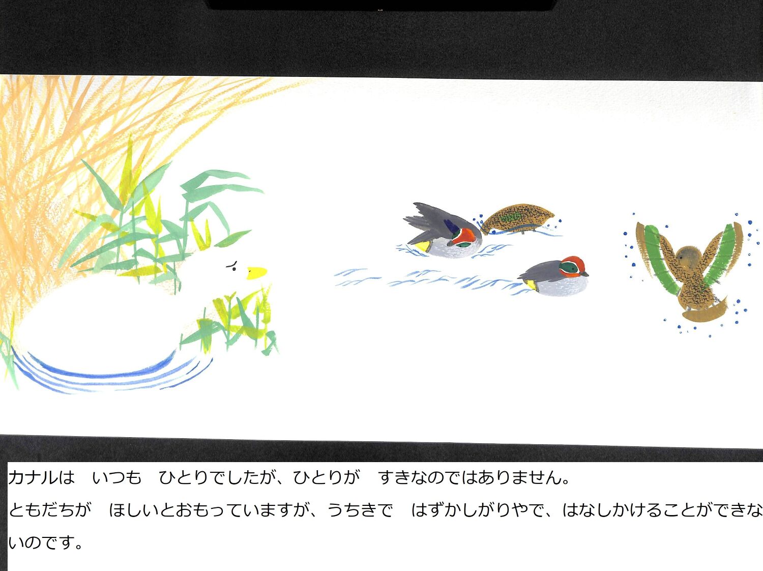 アヒルのカナル