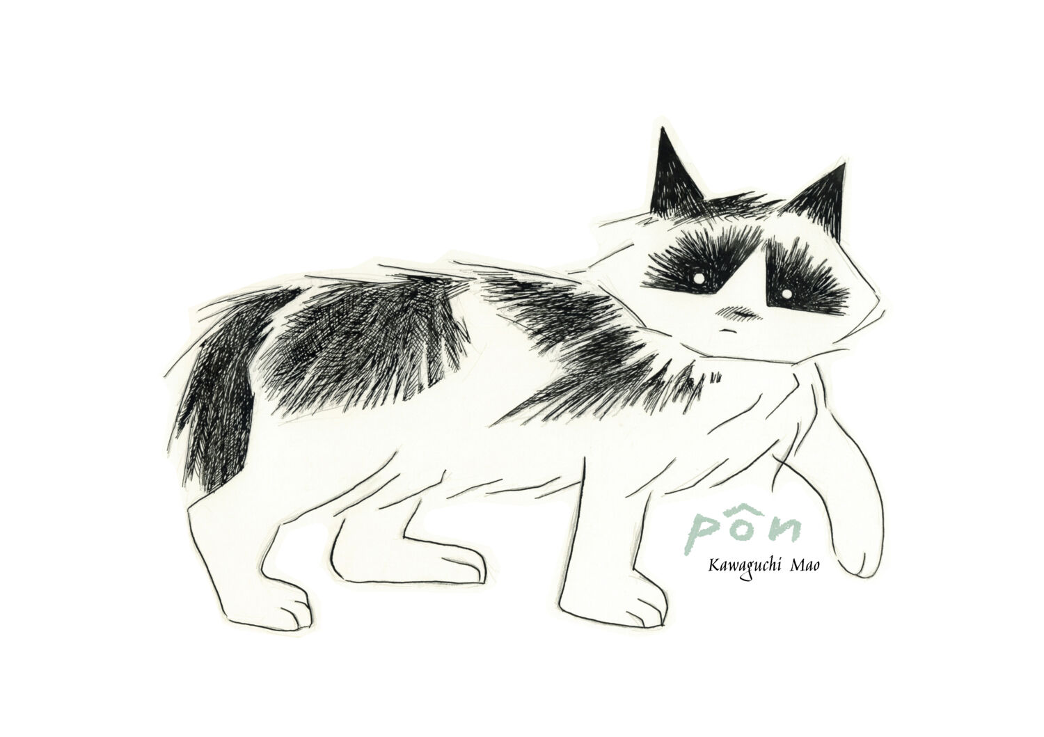 pôn